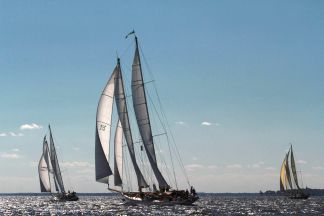 Set Sail with Confidence: Why Sailing Lessons are Essential for New and Experienced Boaters by Capt. Jeff at Mathias Marine
Eastern Shore of the Chesapeake Bay. Sailing lessons, boating lessons, learn to sail, sailing refresher, onboard training, on board training, on-board training